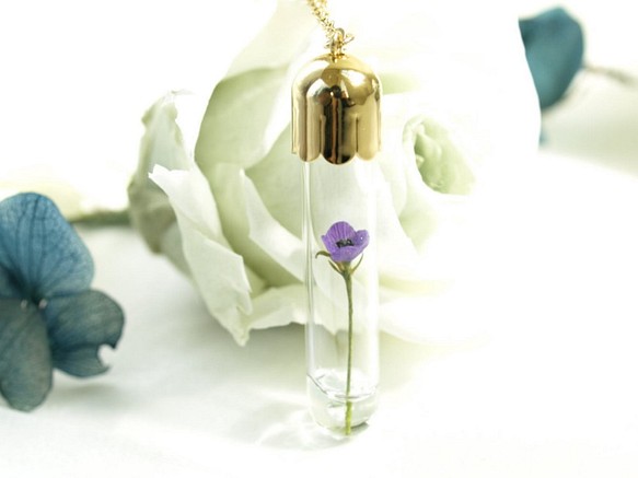 微型花卉春天的玻璃管挂件季節[海葵紫] 第1張的照片