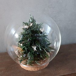 《ご予約受付中》ガラスの中のクリスマスツリー☆ 1枚目の画像
