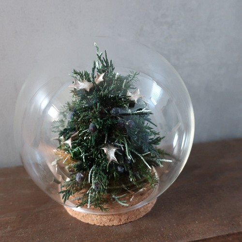 ご予約受付中》ガラスの中のクリスマスツリー☆ プリザーブドフラワー
