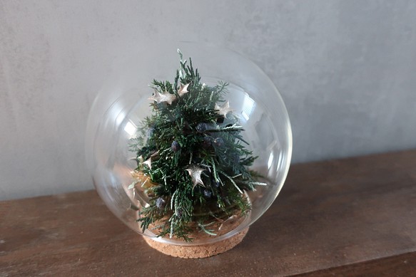 《ご予約受付中》ガラスの中のクリスマスツリー☆ 1枚目の画像