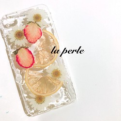 <送料無料>選べるノースポールといちごとレモンのiPhoneスマホケース 1枚目の画像