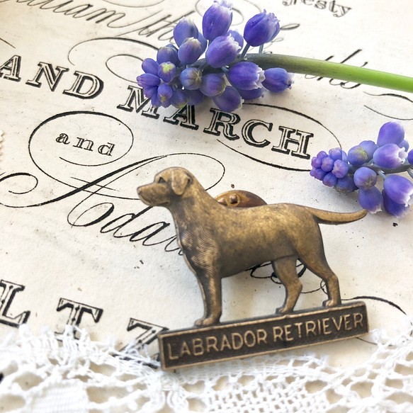英国で出会った♪ ヴィンテージ の犬のピンバッジ ラブラドール・レトリバー 1枚目の画像