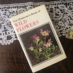 英国で出会った♪1973年 小さな植物図鑑「WILD FLOWERS」ヴィンテージ 220種のボタニカルアート 1枚目の画像