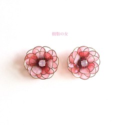 這是美麗的花耳環或耳環（粉紅色） 第1張的照片