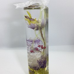 Interior Herbarium〜癒し〜 1枚目の画像