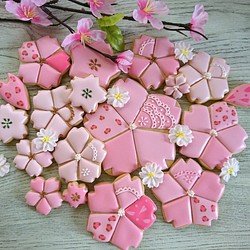 春のアイシングクッキー。卒業、卒園、入学などにも！「身体に優しい！」春色桜のアイシングクッキー 大きな桜のクッキー 1枚目の画像
