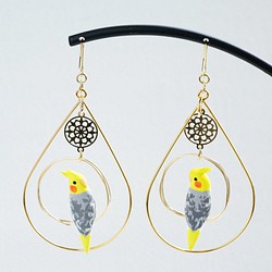 環騎玄鳳鸚鵡（花色）穿孔耳環配配飾 第1張的照片