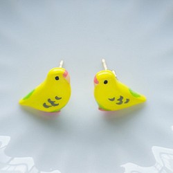 虎皮鸚鵡（黃色）樹脂加工的耳環和耳環 第1張的照片