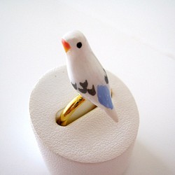 虎皮鸚鵡（白色）戒指 第1張的照片
