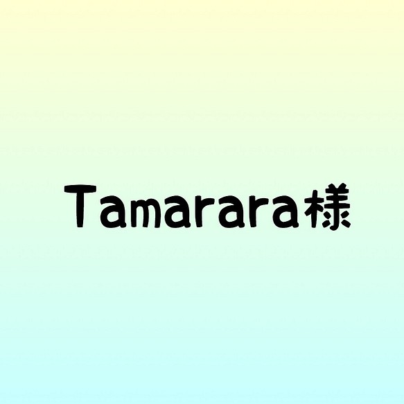 tamarara様専用 1枚目の画像